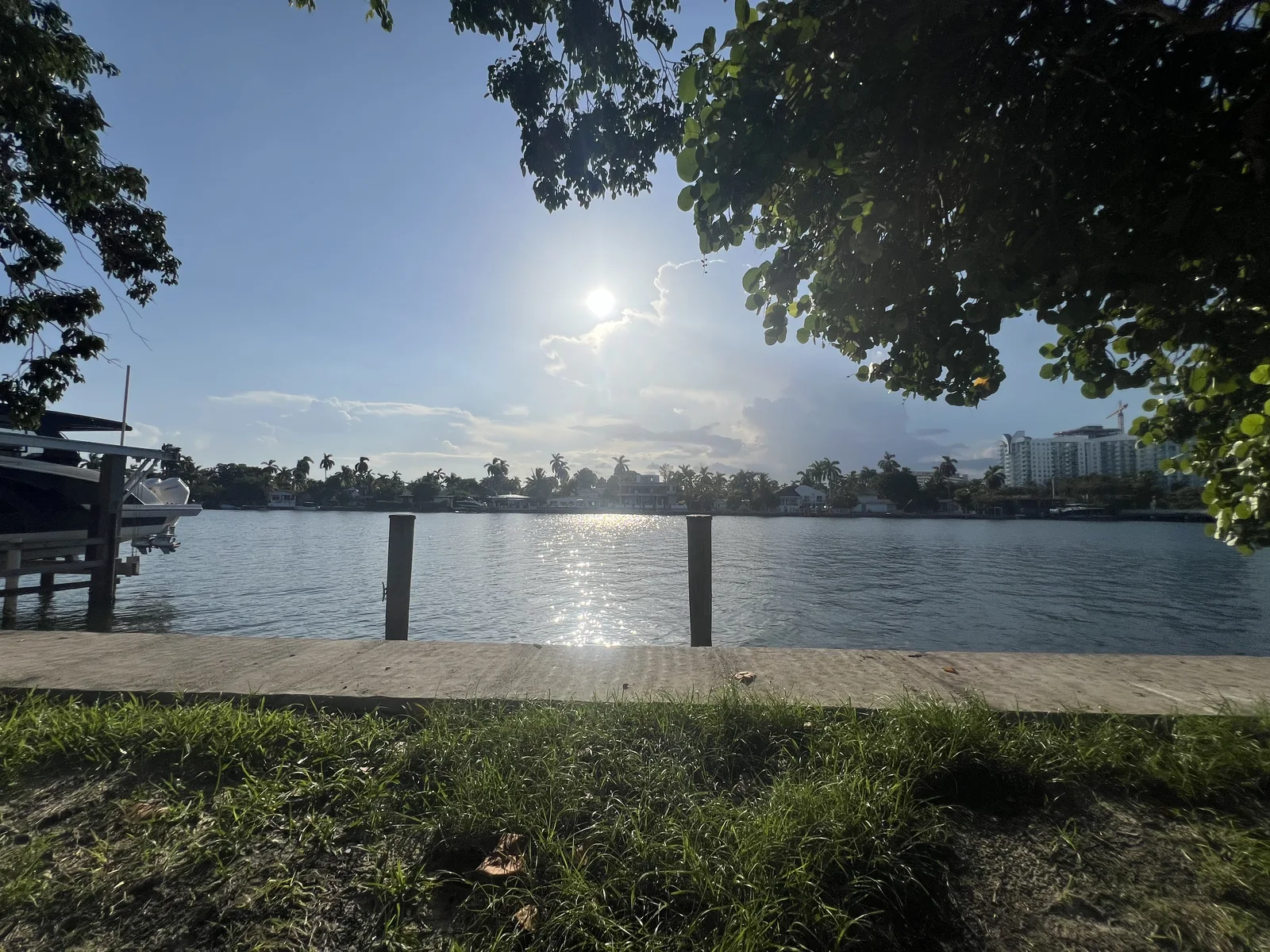 Waterfront view from Stormwater Park, framed by overhanging leaves
