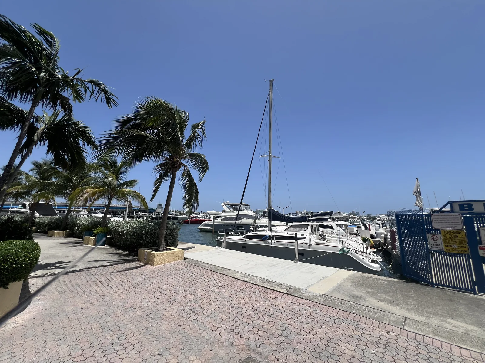 Sailboats, palms and the dockside walkway on Treasure Island